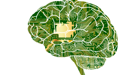 Pamięć z medycznego punktu widzenia