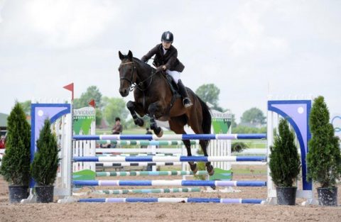 Moja Pasja – Jeździectwo